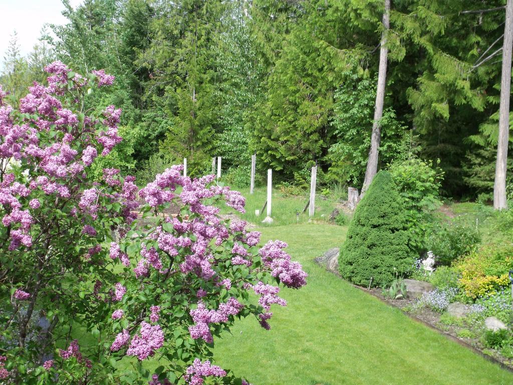 Silver Star Bed And Breakfast Vernon Chambre photo